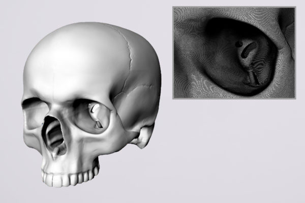 Digital Data for Surgical Education training