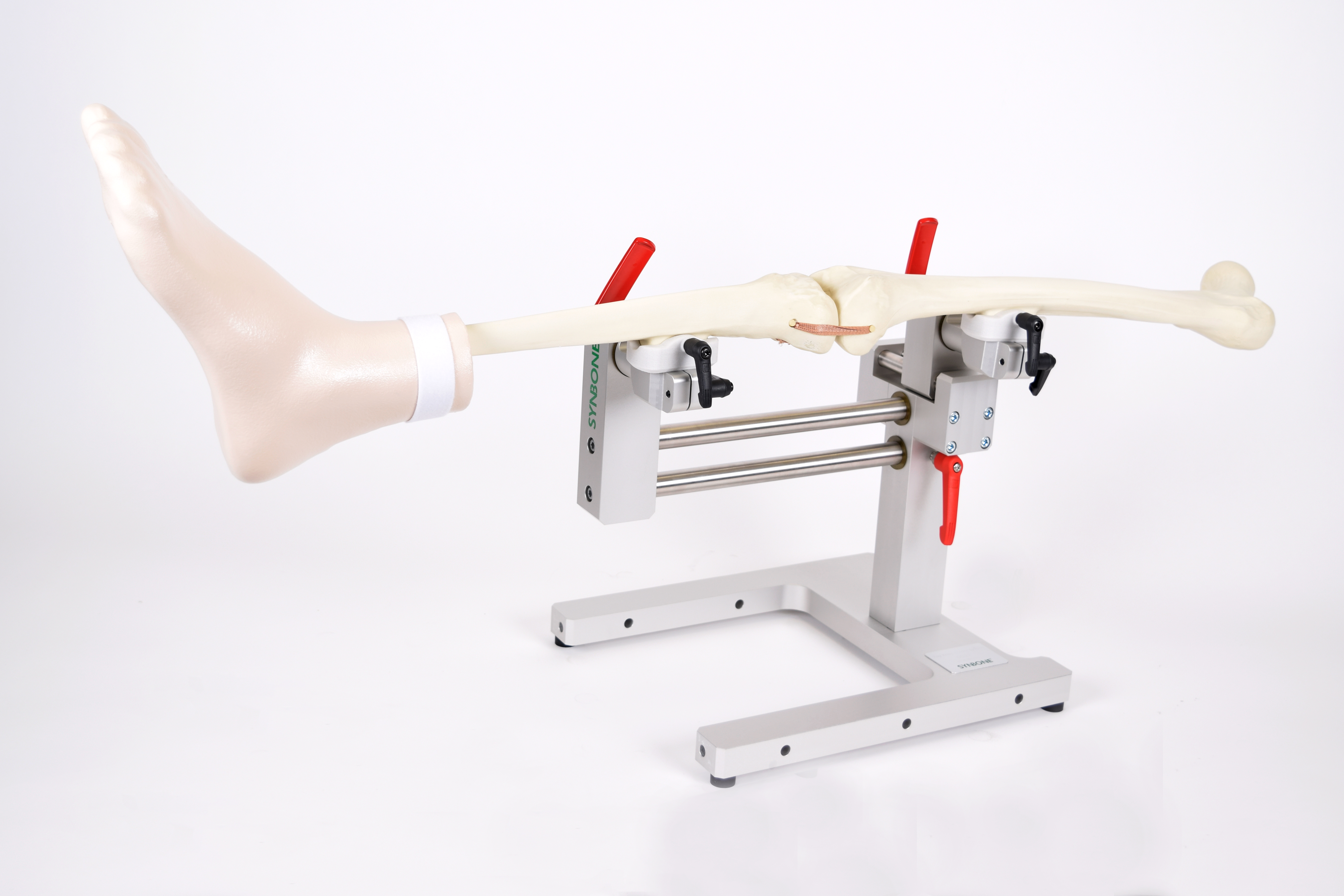 RAY Knee Holder System SYNBONE