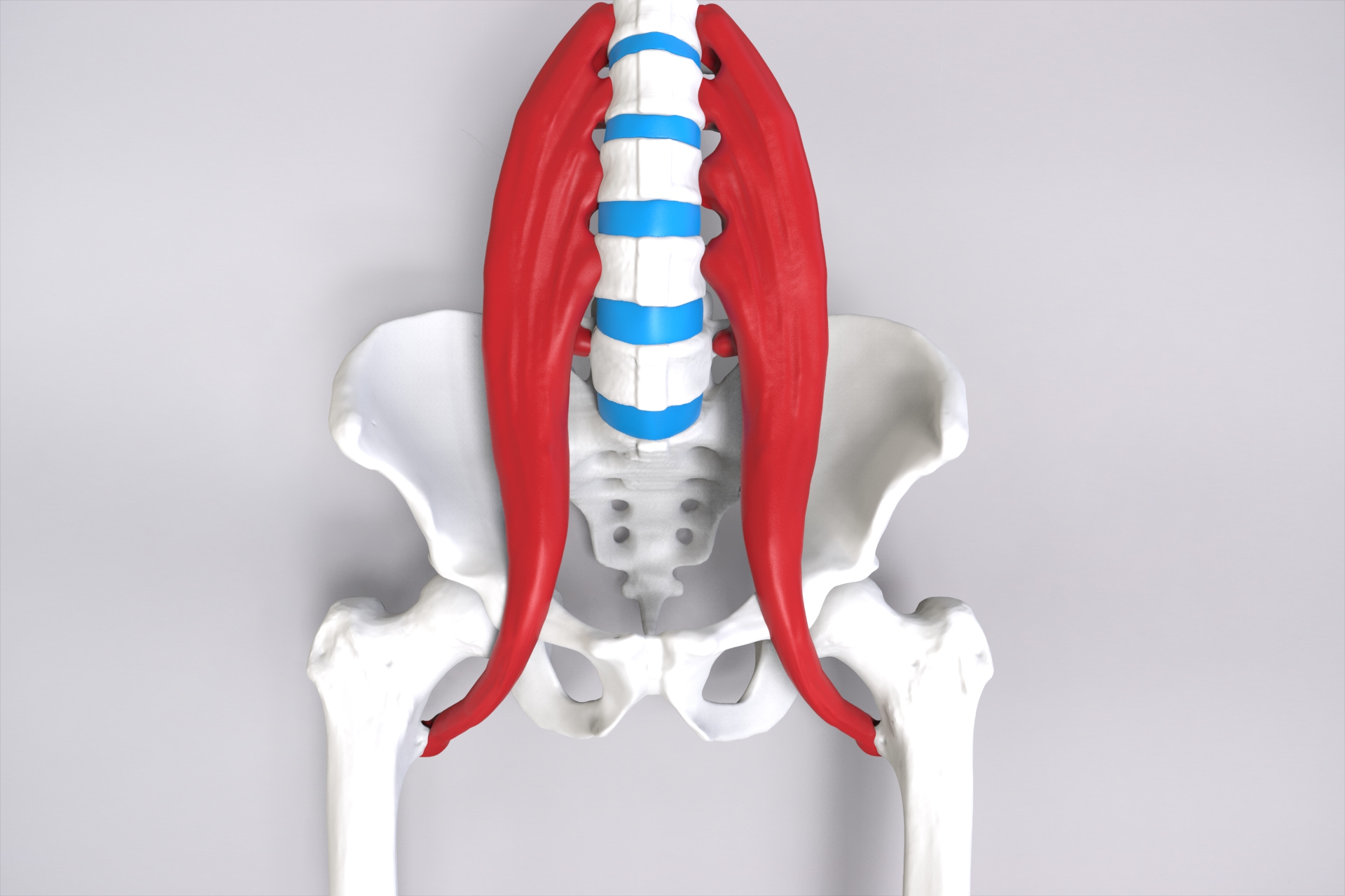 Spine MIS with psoas major