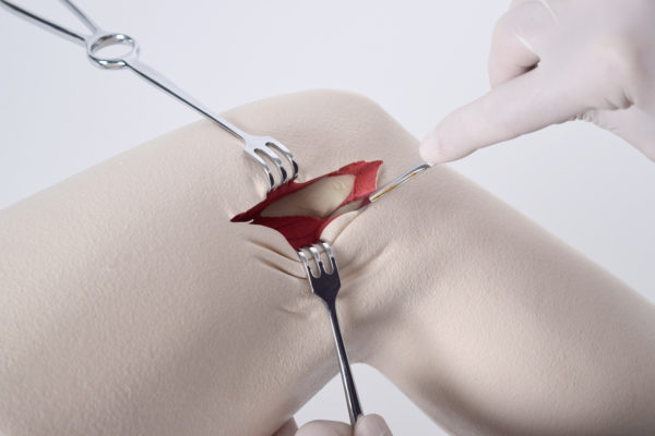 knee model with red foam