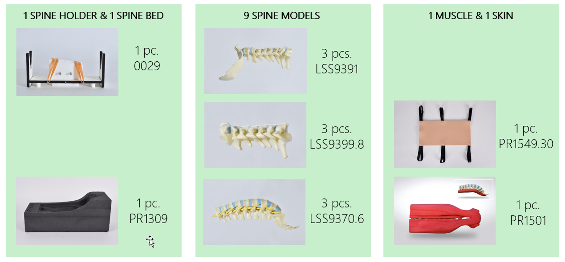 components of spine package