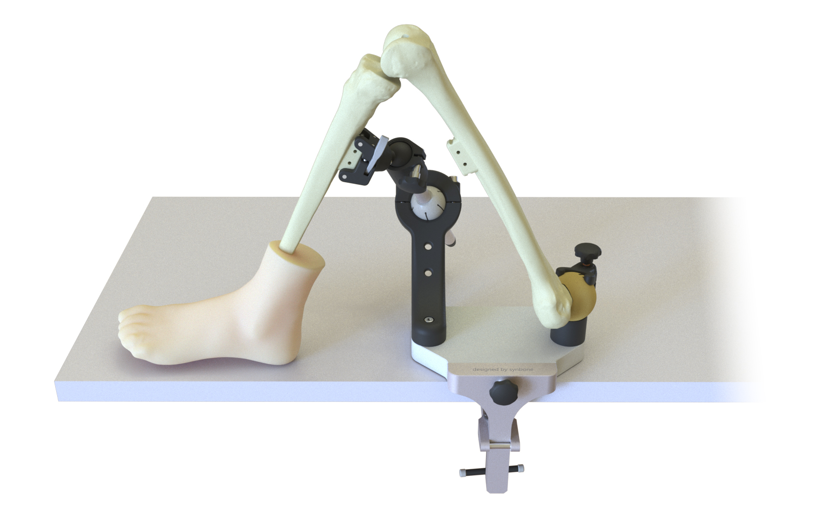 SYNBONE Surgical education models for healthcare professionals