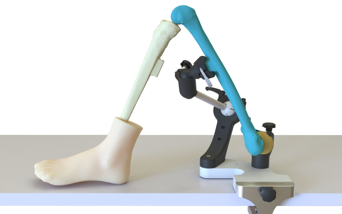 Hand Mount Tibia SYNBONE - Holder systems for bone models / spines models / skulls